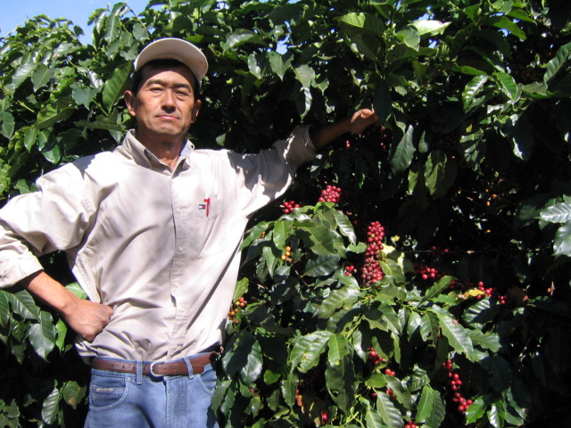 ブラジル トミオフクダ ブルボン ナチュラル